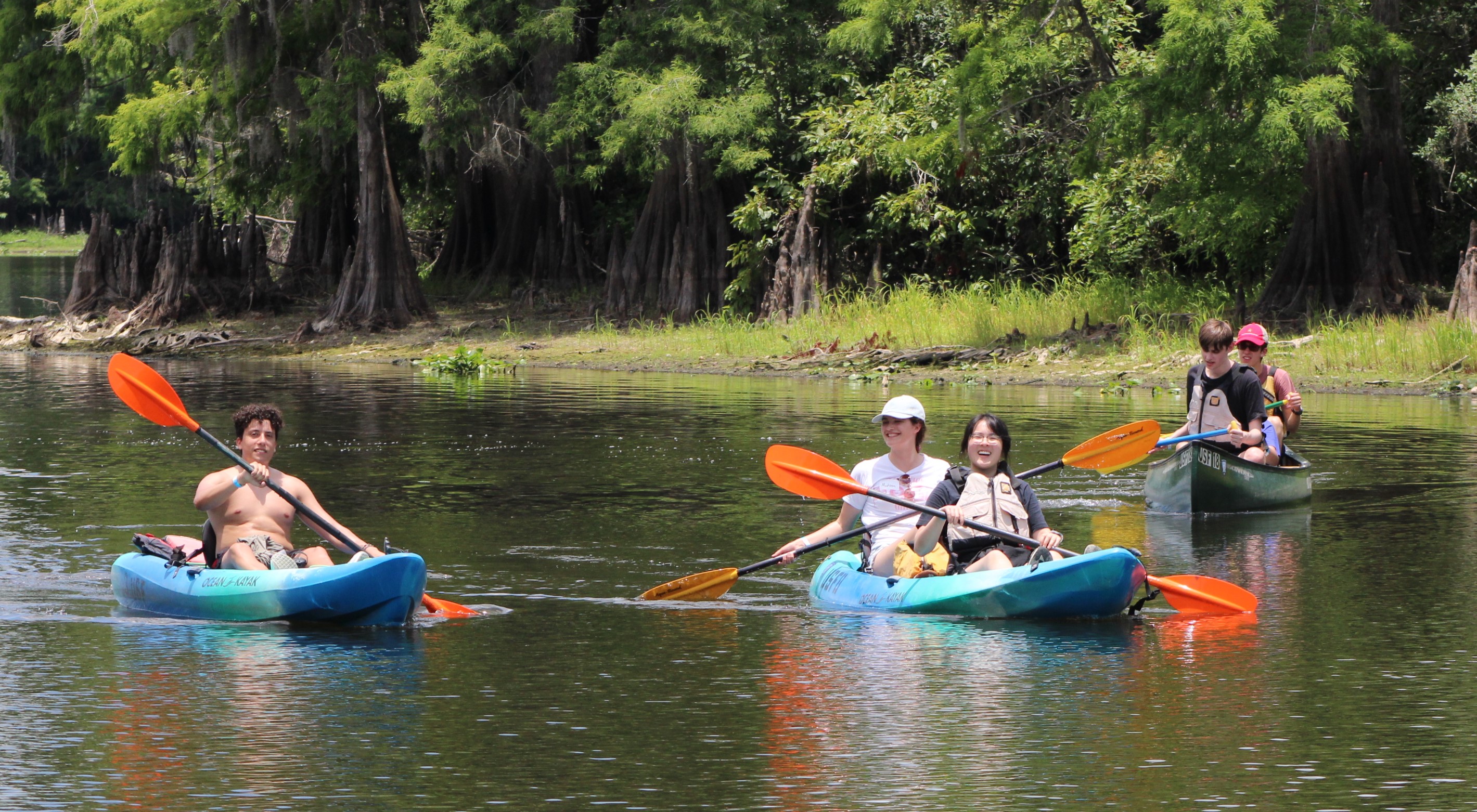 Student community activity